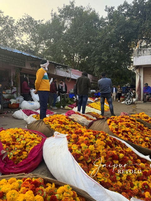 jaipur-walking-tour-wholesale-flower-mandi-market